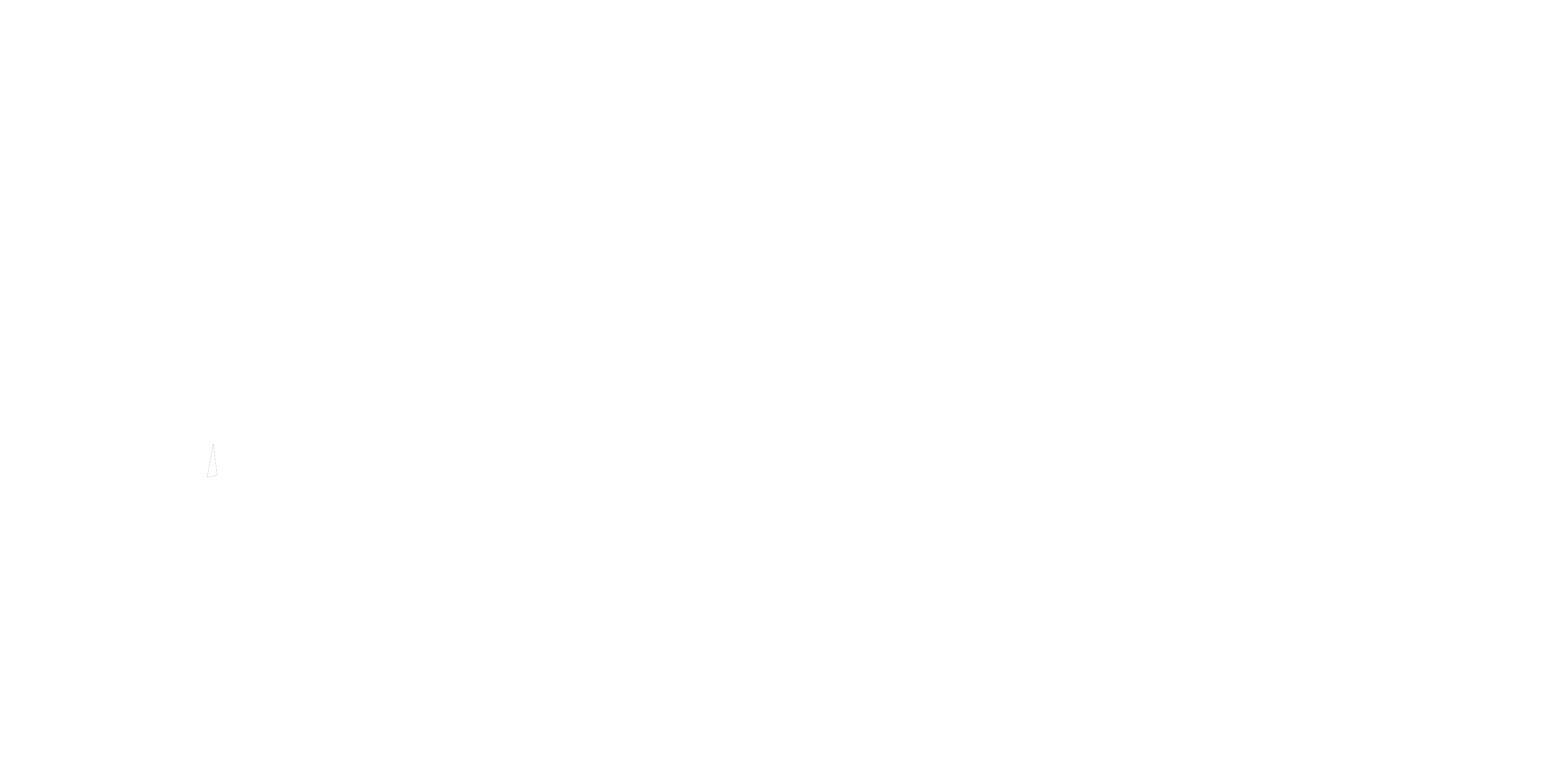 Logo Fonds de Dotation les Dragons